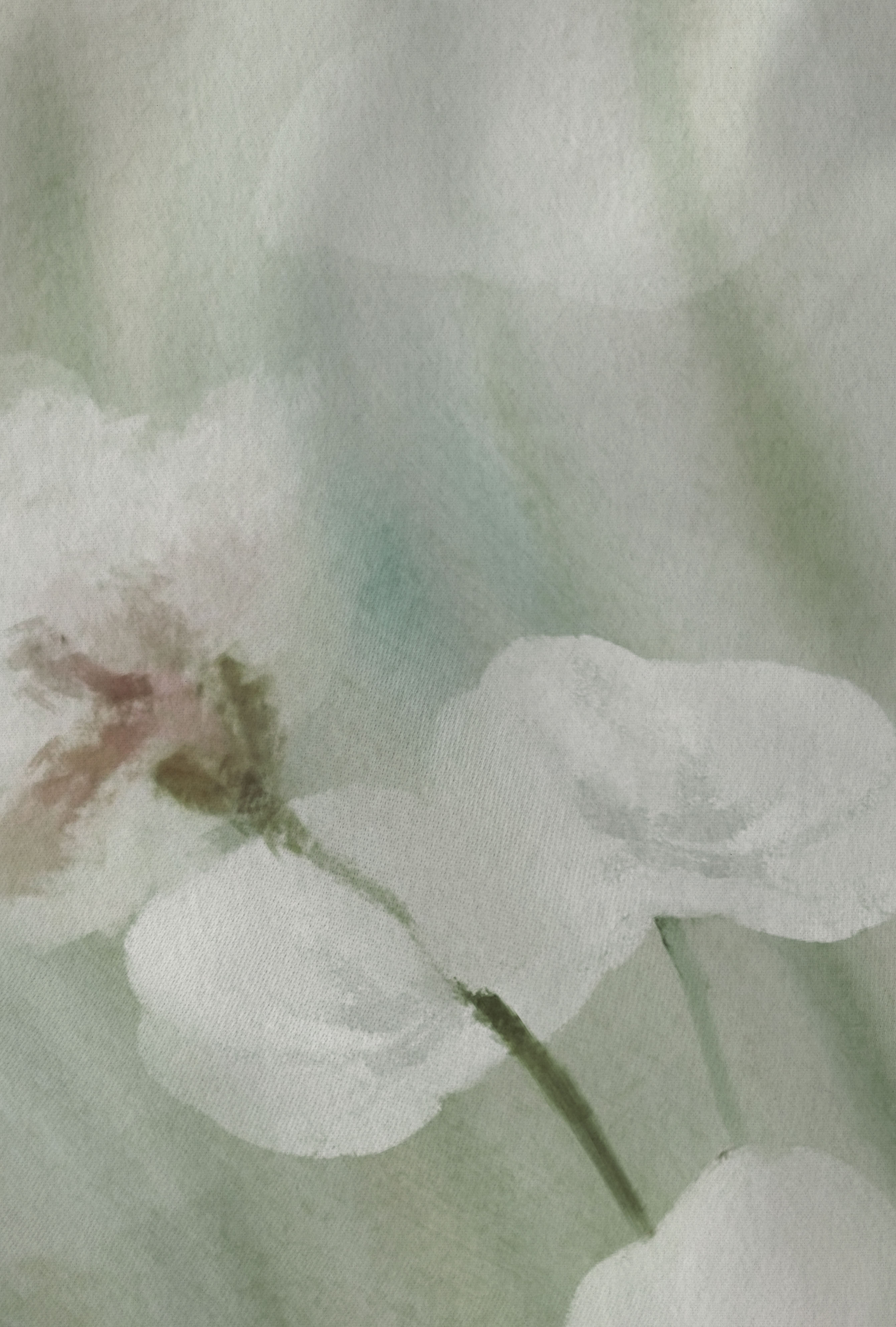 Biberna Aquarellblumen salbei 155x220 cm, Feinbiber-Bettwäsche