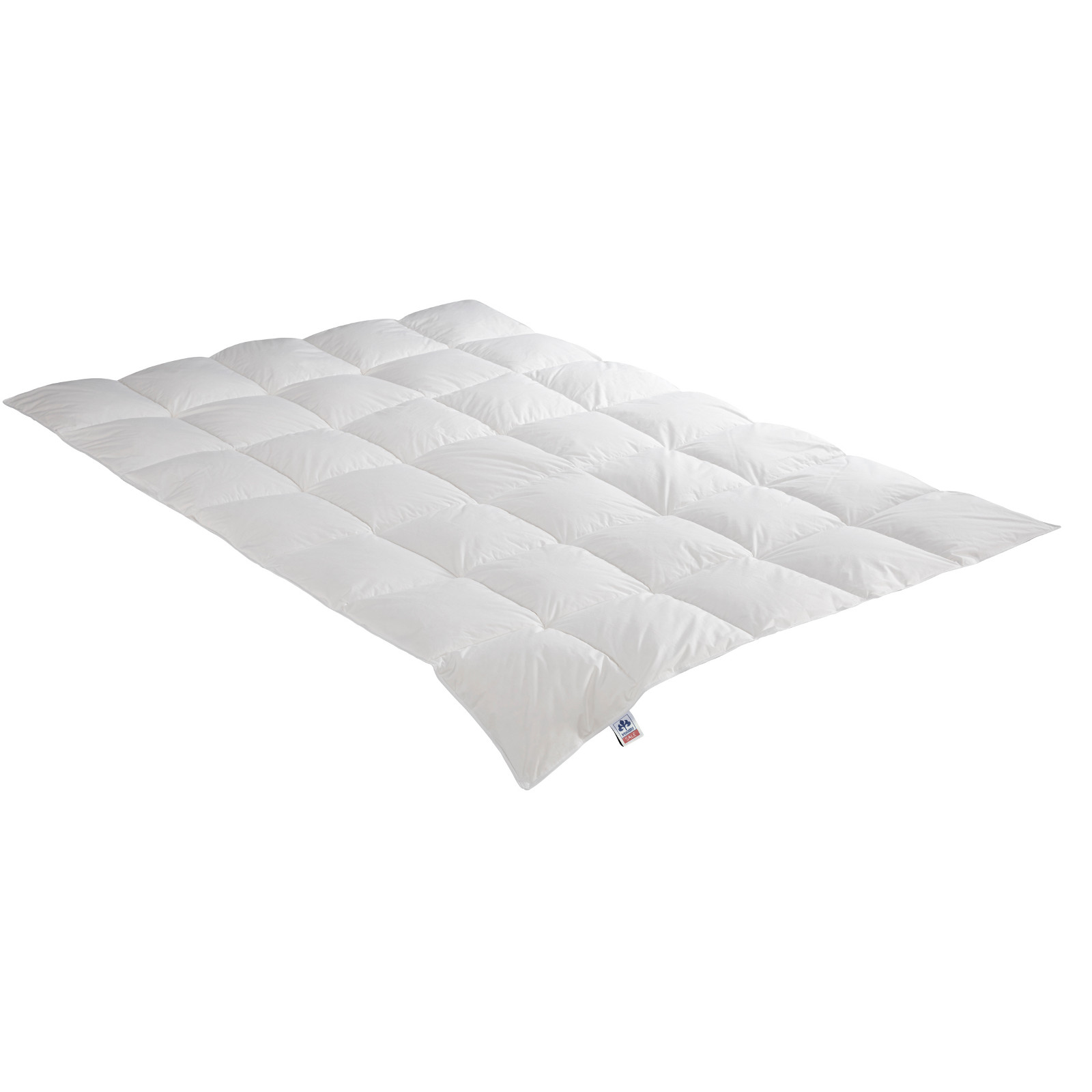 IRISETTE Daunensteppbett Nora medium Größe 200x200 cm Ganzjahresdecke