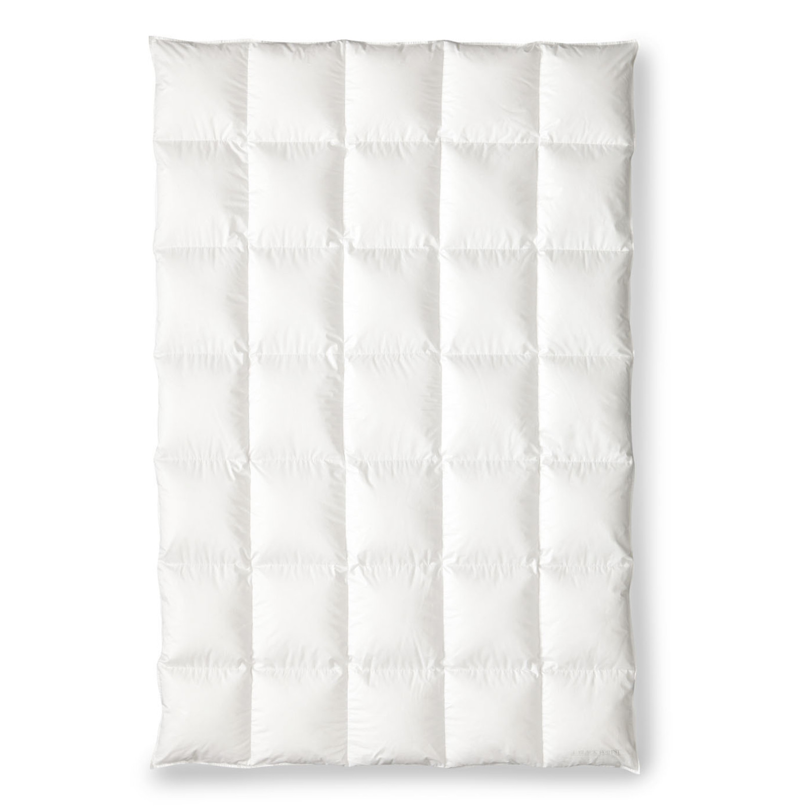 OBB Black Forest Schneegansdaunen-Kassettendecke Winterdecke Lara warm Größe 155x220 cm