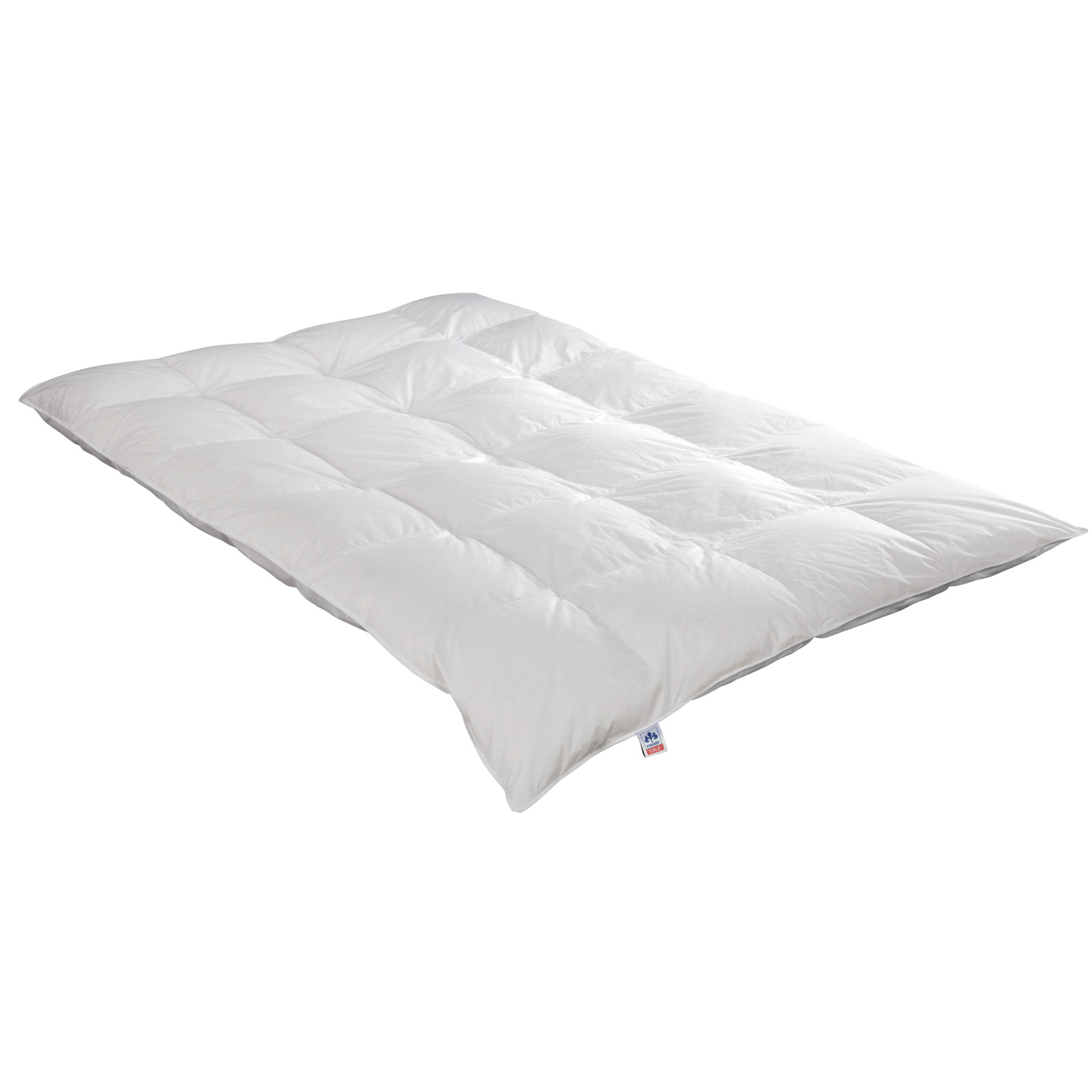 IRISETTE Entendaunen- federn Kassettendecke Edda extra warm Größe 200x200 cm Winterdecke, 8 cm Hochsteg