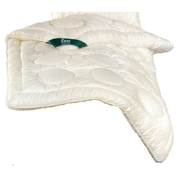 f.a.n. Winterdecke Derby Duo-Steppbett 200x200 cm