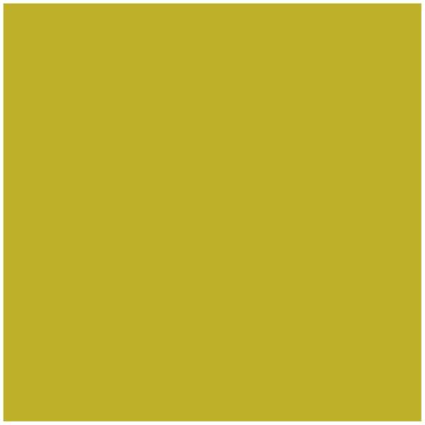 Kneer Edel-Zwirn-Jersey Spannbetttuch für Matratzen bis 22 cm Höhe Qualität 20 Farbe lindgrün