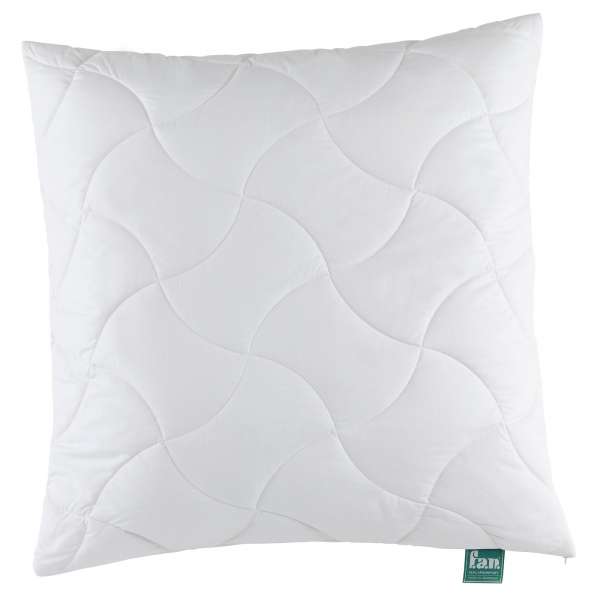 Frankenstolz Kissen Klima Active Plus 80x80 cm gesteppt