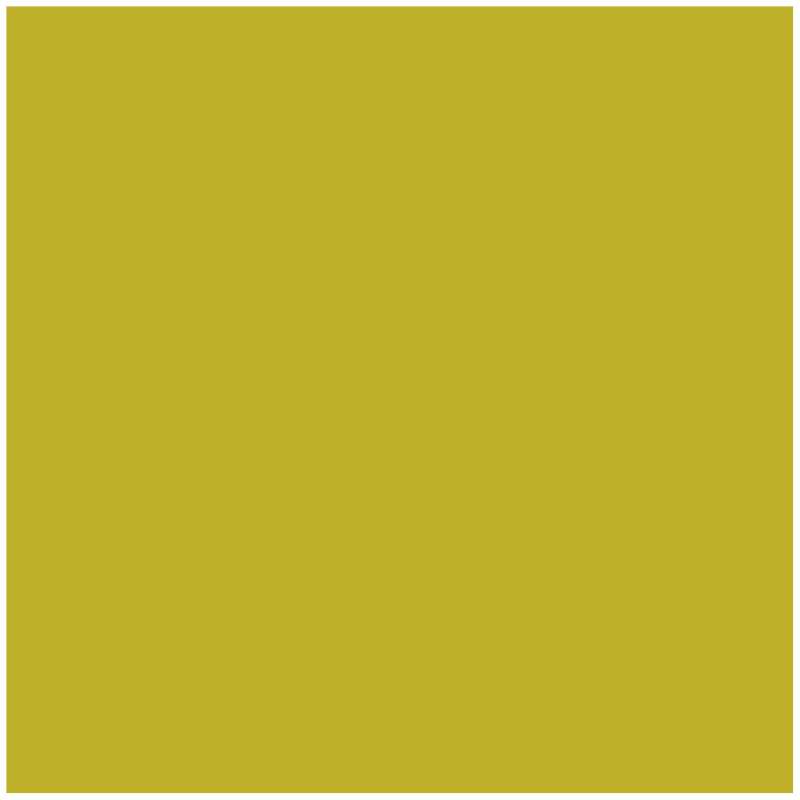 Kneer Fein-Jersey Spannbetttuch für Matratzen bis 22 cm Höhe Qualität 50 Farbe lindgrün