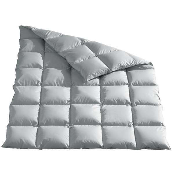 Häussling Daunen-Kassettendecke Moschus royal warm 155x220 cm Winterdecke silbergrau
