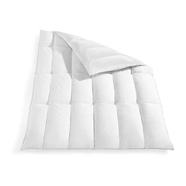 Häussling Daunen und -federn Kassettenbett extra warm 155x220 cm Winterdecke 8 cm Innensteg